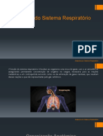 Cópia de 1.ANATOMIA DO SISTEMA RESPIRATÓRIO