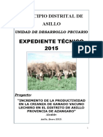 Expediente Técnico 2015: Municipio Distrital de Asillo