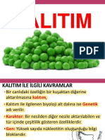 Kalitim