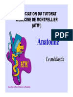 2008-2009 Anatomie Seance 15 Diaporama