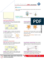 9 Sinif Cografya Ruzgarlar Konu Anlatim PDF 20232022133819