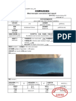 Annexure D Macroscopic Corrosion Test Report of DSAW