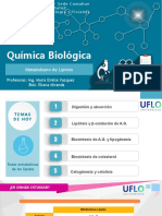 Química Biológica: Metabolismo de Lípidos