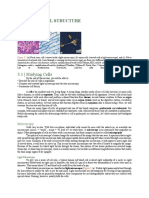 Module 3A: Cell Structure: 3.1 Studying Cells