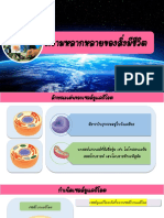 อาณาจักรโพรทิสตา Protista