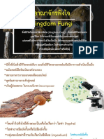 อานาจักรฟังไจ Fungi