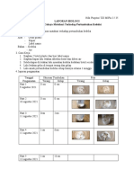 Laporan Biologi - Niki Puspita - 35