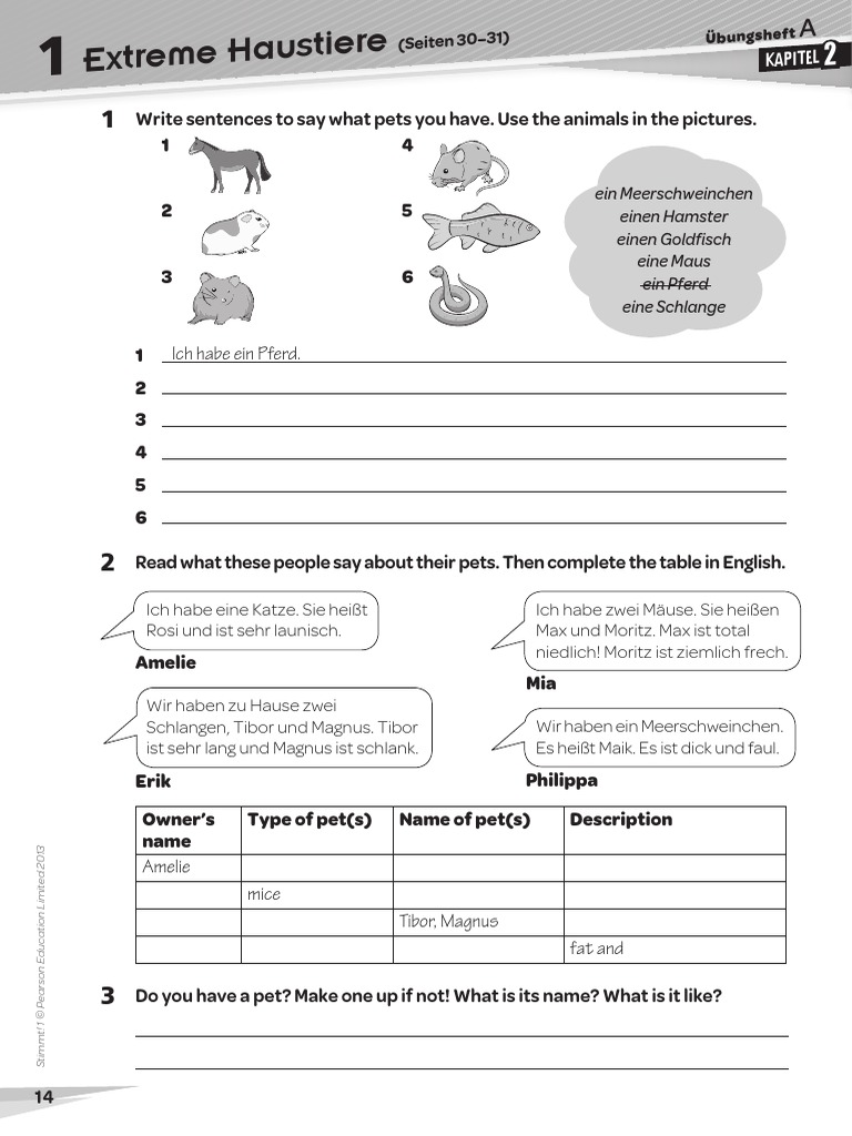 Stimmt1 Workbook A Chapter 2 | PDF
