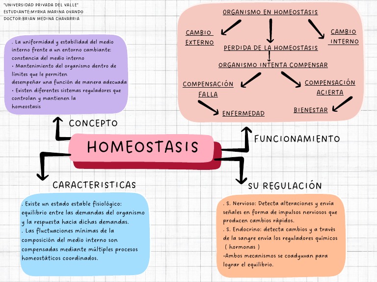 Mapa Conceptual Homeostasis PDF