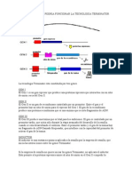 SP Terminatordiagram