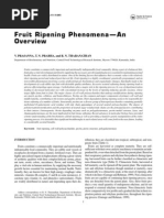 Download Fruit Ripening PhenomenaAn by Ivonne Bersabee Prez Pacheco SN63539729 doc pdf