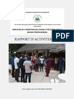 Rapport D'activités de La DIS - Année 2019