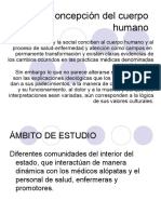 Concepción Del Cuerpo Humano