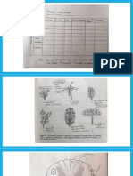 Presentación Neurociencias DIAPOSITIVAS Marzo 24