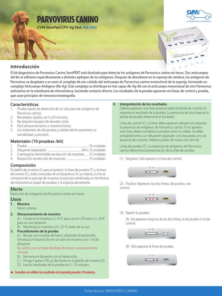 Prueba Rápida de Parvovirus Canino | PDF | Anticuerpo | Especialidades ...
