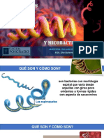 3 Espiroquetas Micobacterias