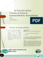 Derecho Procesal Laboral Principios