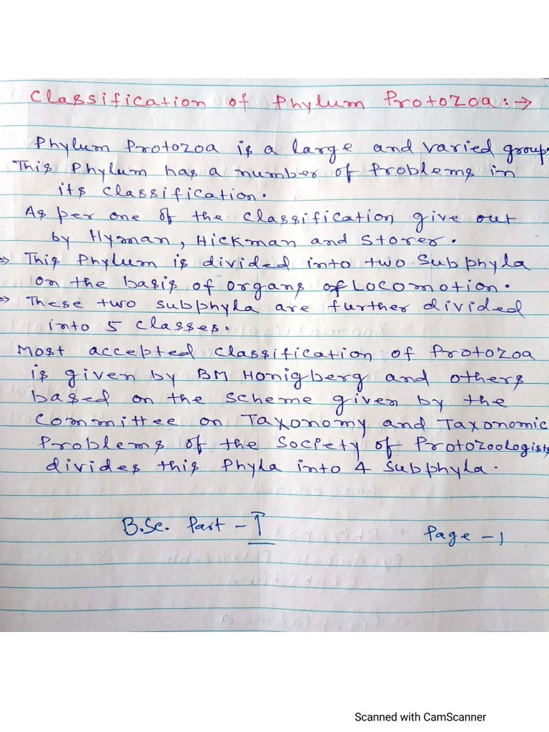 Zoology - Classification of Phylum Protozoa (B.SC 1) | PDF