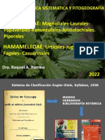 Clase Teórica 3 Magnoliales Hamamelidae 2022