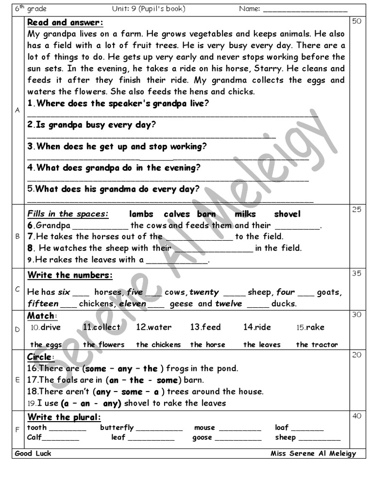 6th Grade Unit 9 Pupil S Book Pdf Chicken Sheep