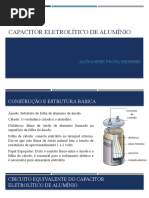 Capacitor Eletrolítico de Alumínio: Alexandre Frota Meneses