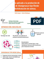 Biotecnología Aplicada A La Producción de Nitrilos: Uso de Dioxigenasas Tipo Rieske para La Deshidratación de Oximas