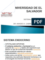 SISTEMAENDOCRINO