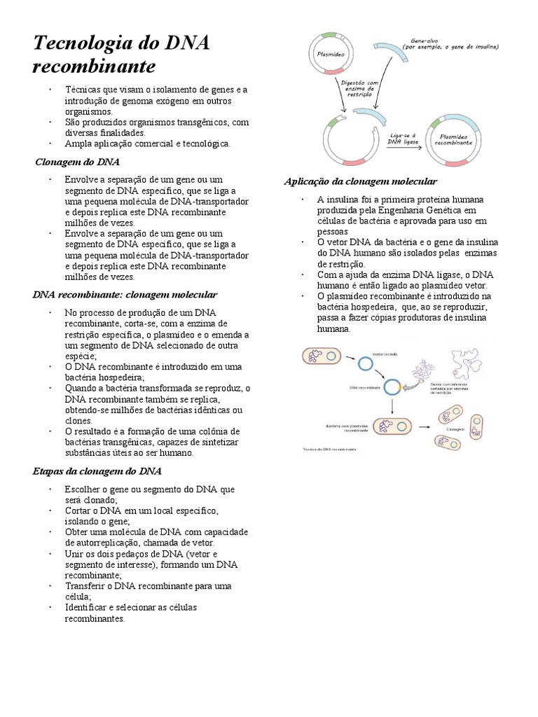 Recombinación homóloga - Wikipedia, la enciclopedia libre, image size:768x1024