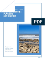 Rapport Sortie: Plage de Sidi-Bouzid: Sciences de La Vie Et de La Terre