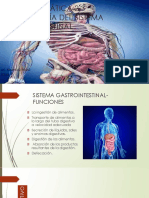 Ut 2.3 Morfofisiología Del Sist Digestivo