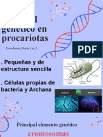 Material Genético en Procariotas: Froschauer, María Luz I