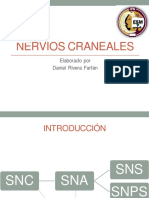 Nervios Craneales: Elaborado Por Daniel Rivera Farfán