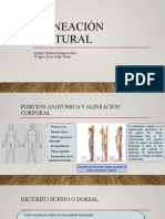 Alineación postural y adaptaciones