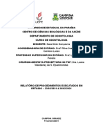 Relatório de procedimentos odontológicos em PSF