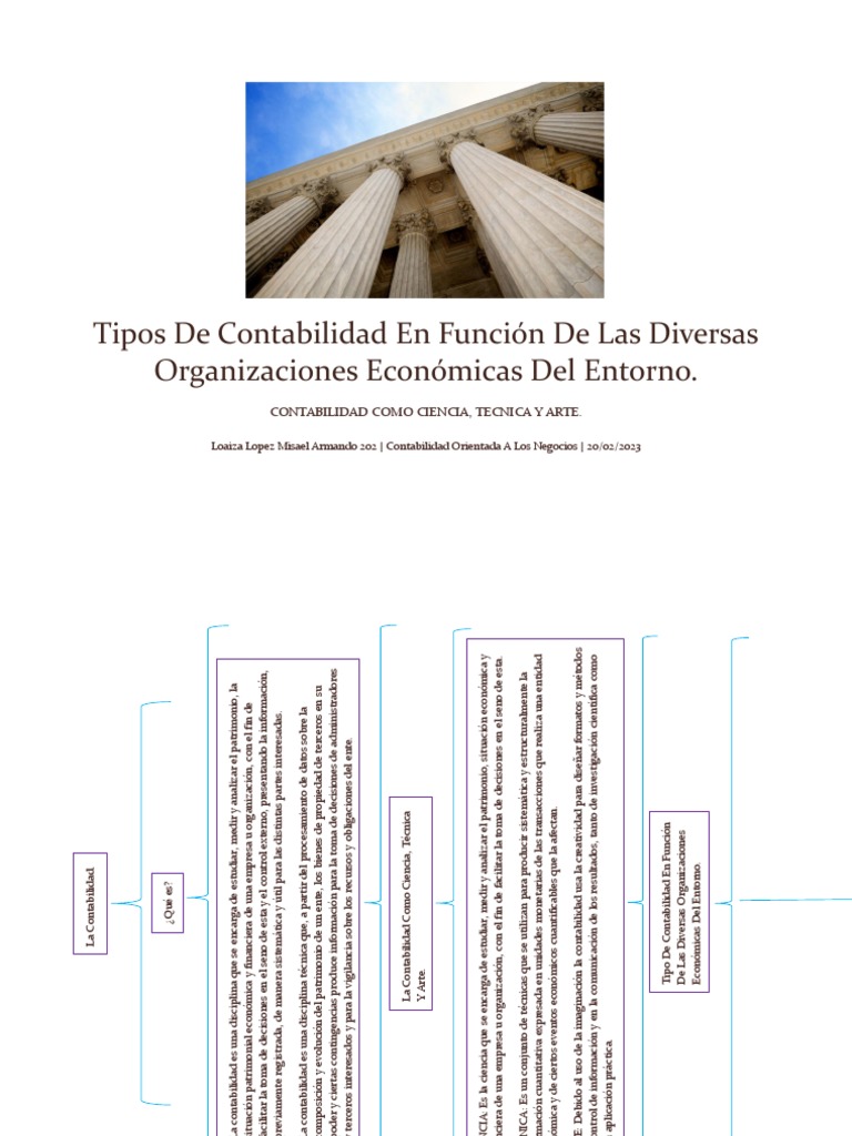 Tipos De Contabilidad En Función De Las Diversas Pdf Contabilidad