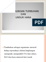 Hubungan Tumbuhan Dengan Unsur Hara