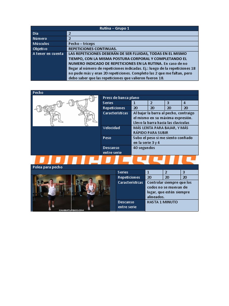 Rutina de Pecho y Tríceps: Repeticiones y Series | PDF