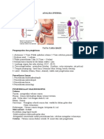 ANALISA SPERMA - DR - Guruh