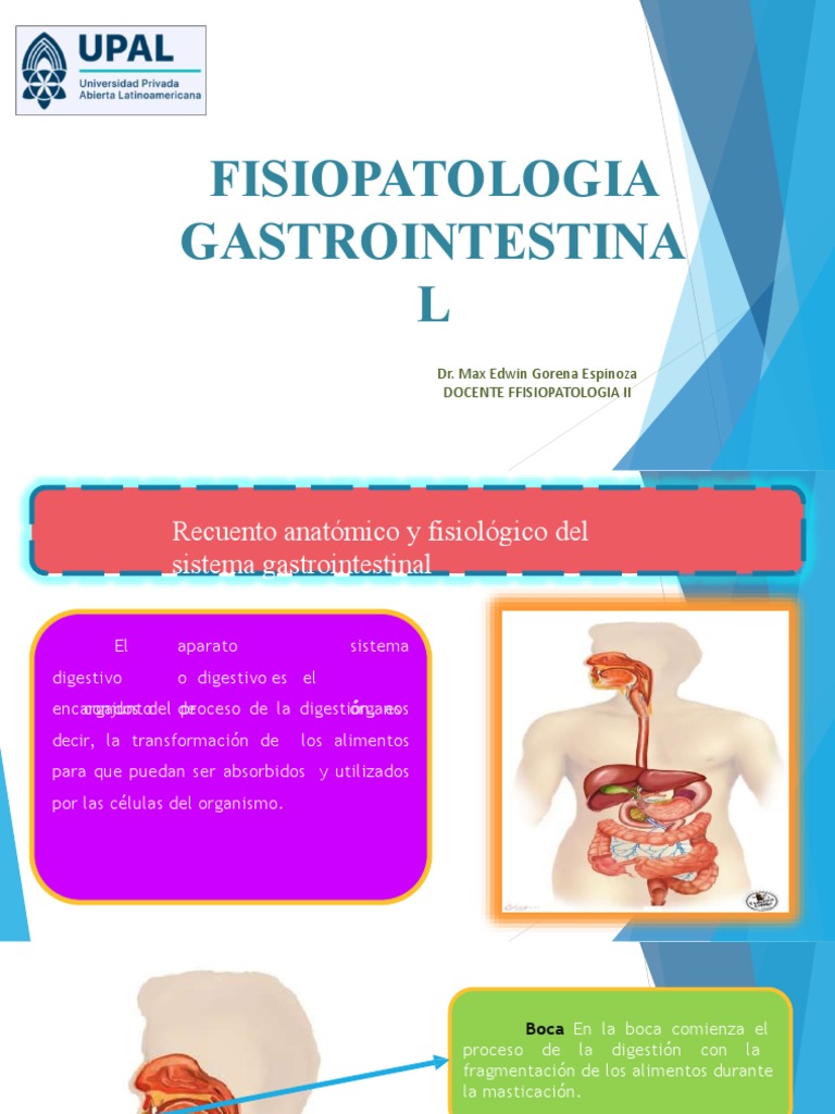 Fisiopatologia Gastrointestina L: Dr. Max Edwin Gorena Espinoza Docente ...