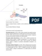 Ossos e articulações do pé