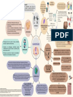 Hanseníase Mapa Conceitual (Paula Caroline Cunha & Paola Barreto)