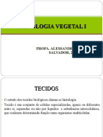 Histologia Vegetal I