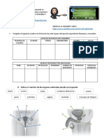 CIENCIAS NATURALES. Aparato Reproductor Femenino y Masculino