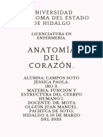 Reporte de Práctica - Anatomía Del Corazón