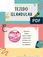 Tejido Glandular