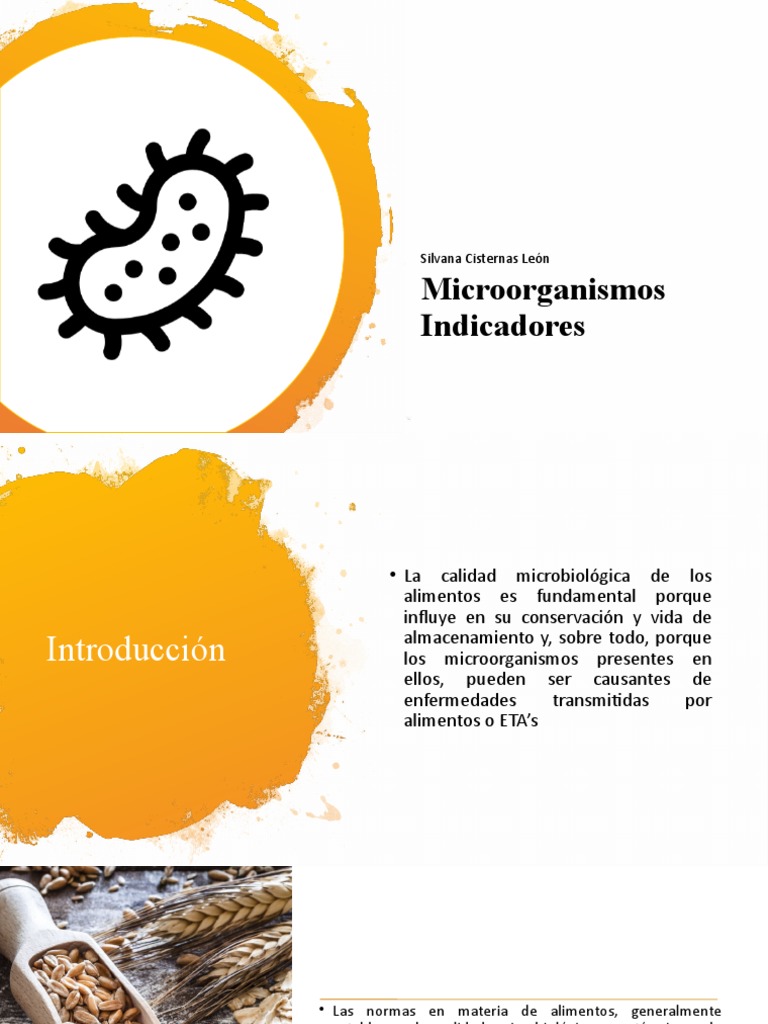 Microorganismos Indicadores en Alimentos | PDF | Alimentos | Microbiología