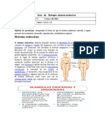 Guía de Biología: Sistema Endocrino