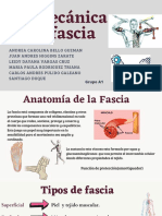 Biomecánica de La Fascia