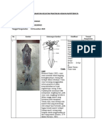 Lembar Pengamatan Kegiatan Praktikum Hewan Invertebrata