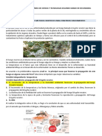 Prueba Diagnóstica de Segundo Respuestas